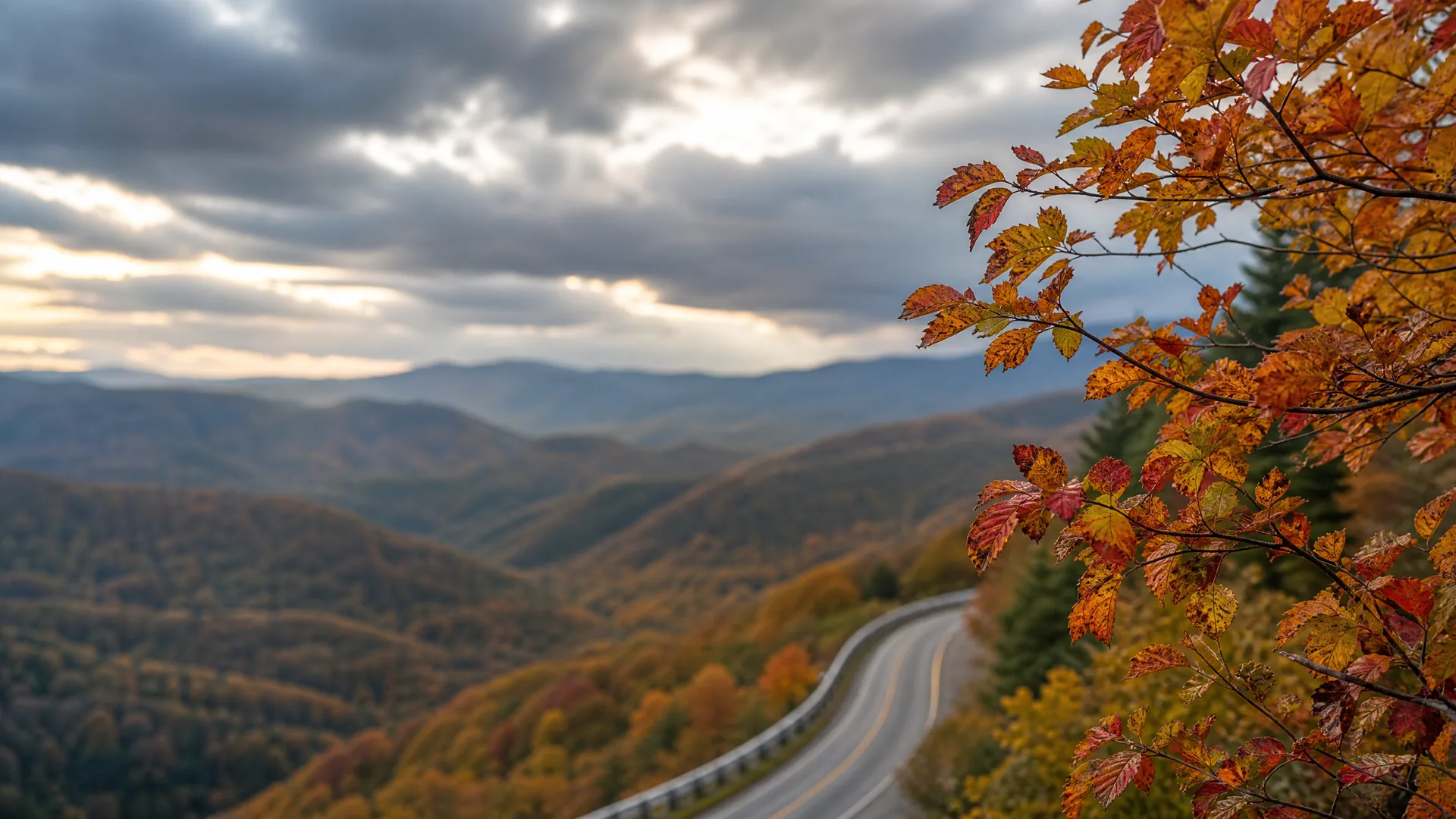 A winding two-lane road curves through forested ridges below a cloudy sky, with orange and red autumn leaves on branches framing the right side of the frame.